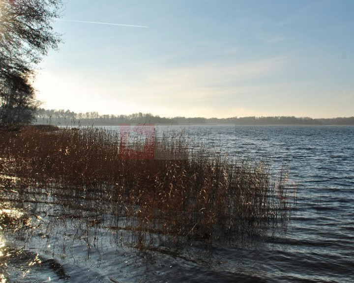 Działka Sprzedaż Wełtyń Wirowska