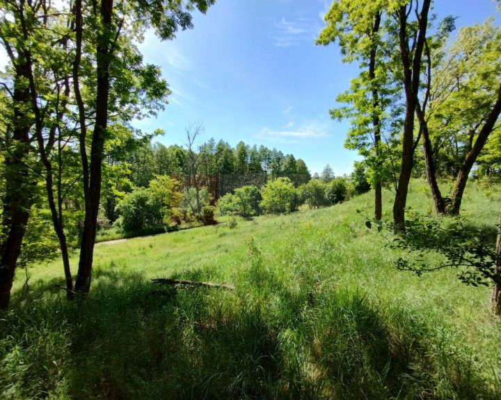 Działka Sprzedaż Stary Błeszyn