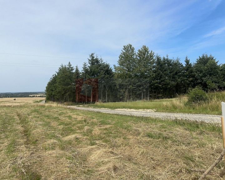 Działka Sprzedaż Barzowice