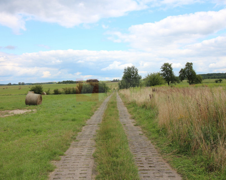 Działka Sprzedaż Biała